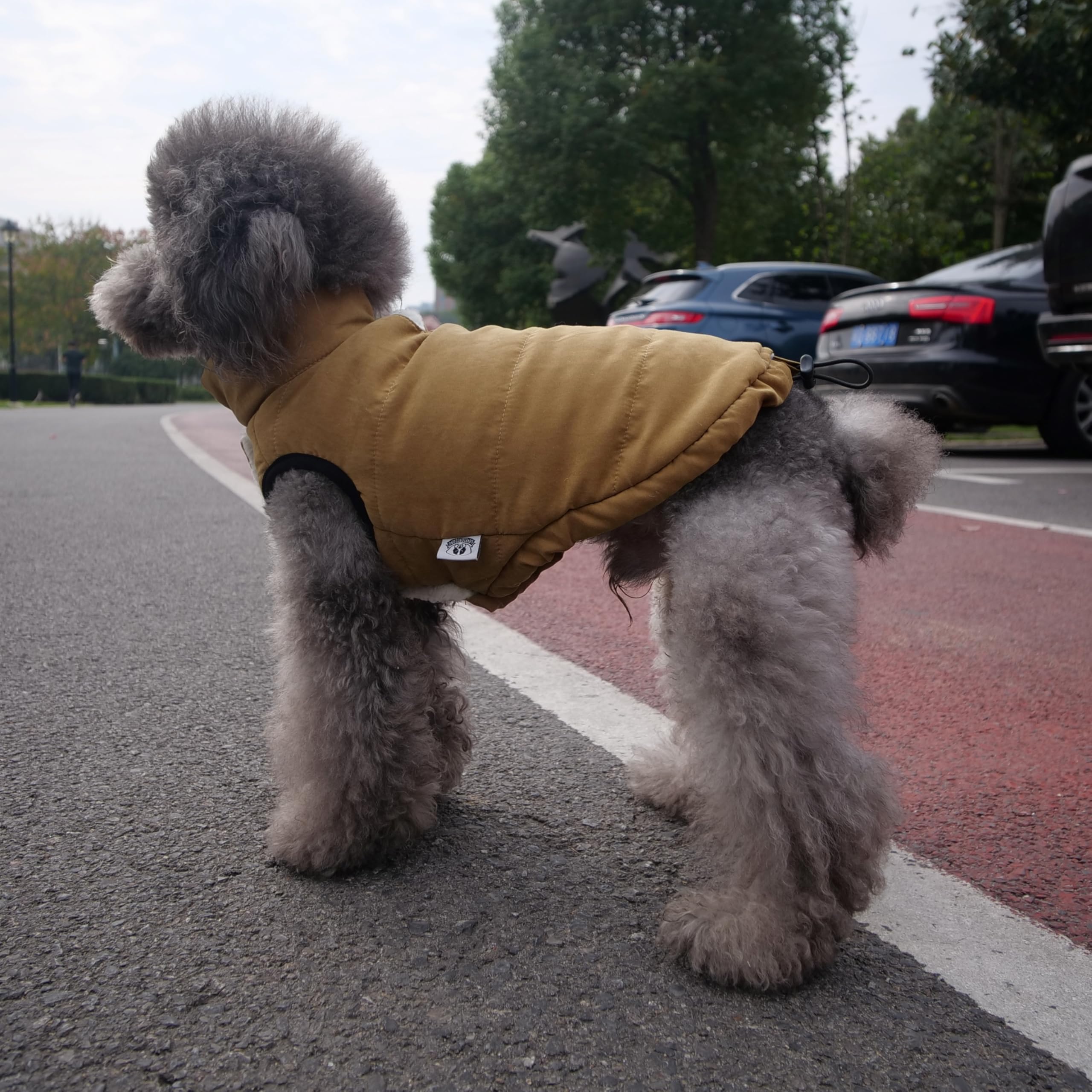 Lovelonglong button-style dog coat side view emphasizes easy dressing and secure fit.
