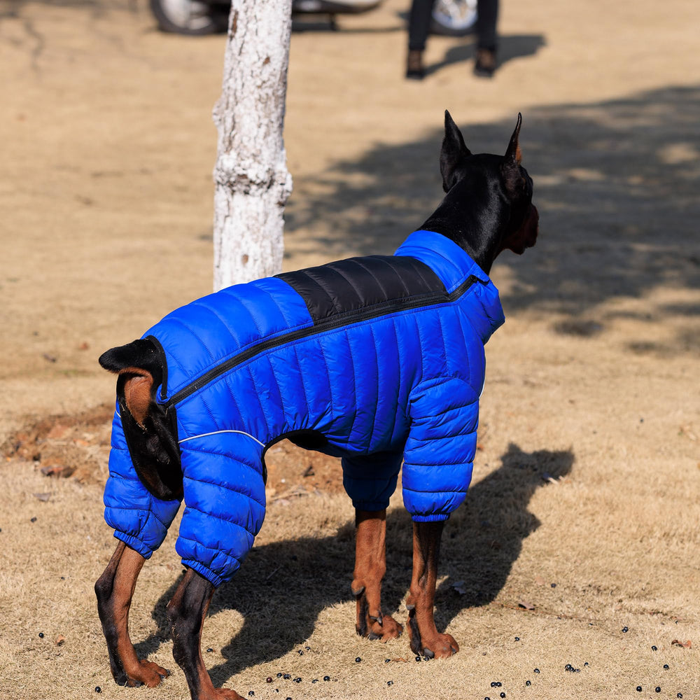 Lovelonglong dog coat adjustable chest and neck straps ensure a secure fit.