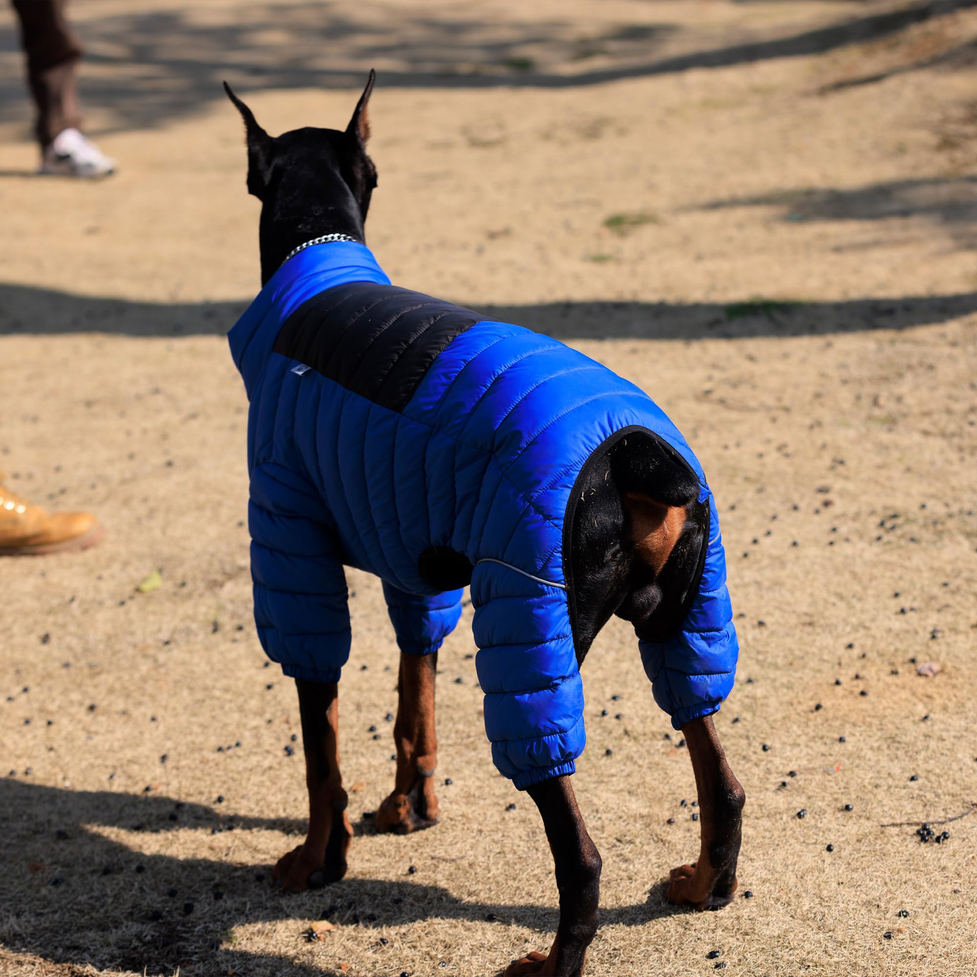 Lovelonglong dog coat in blue XL ready for outdoor adventures with style.