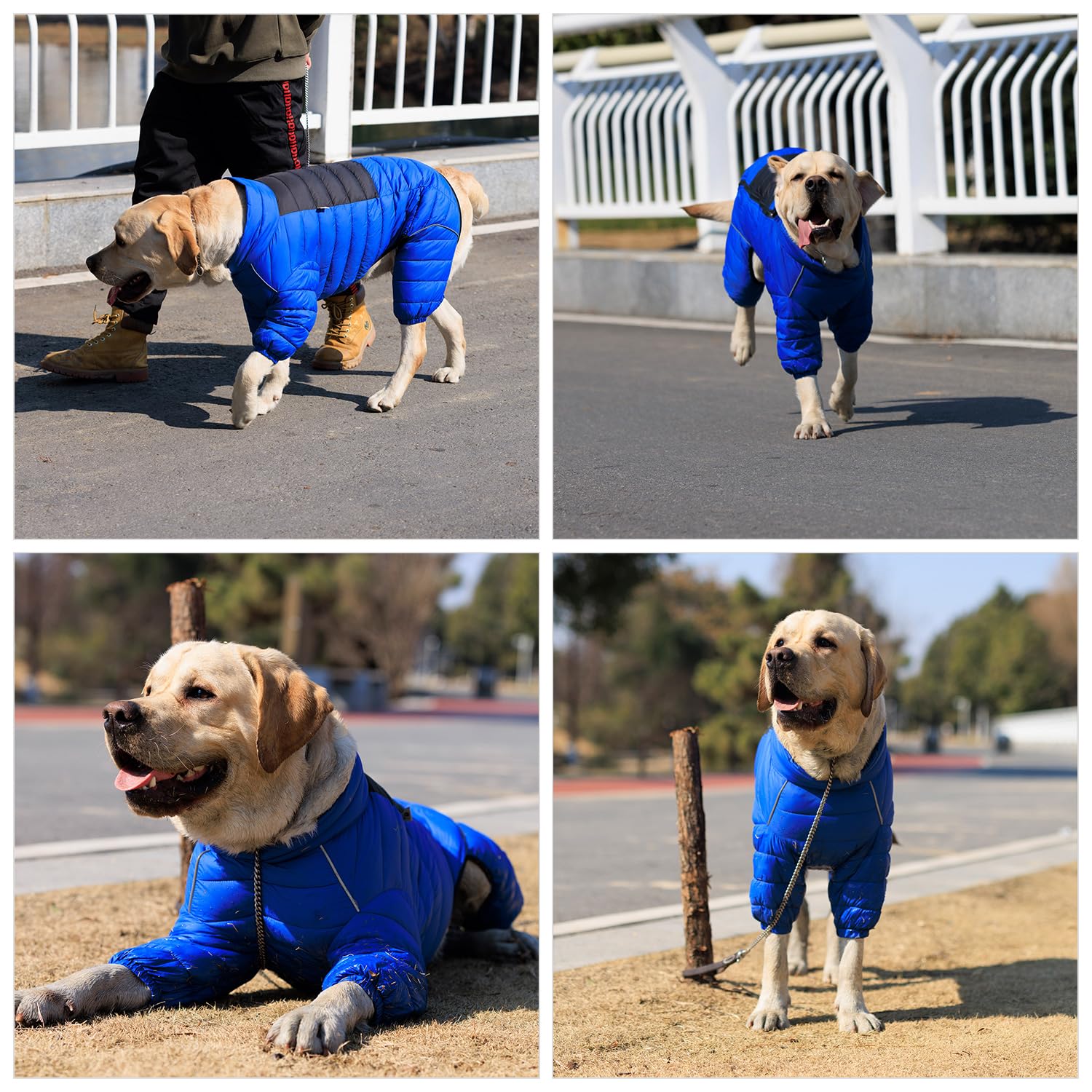 Lovelonglong dog coat size chart assists selecting the right fit among seven sizes.