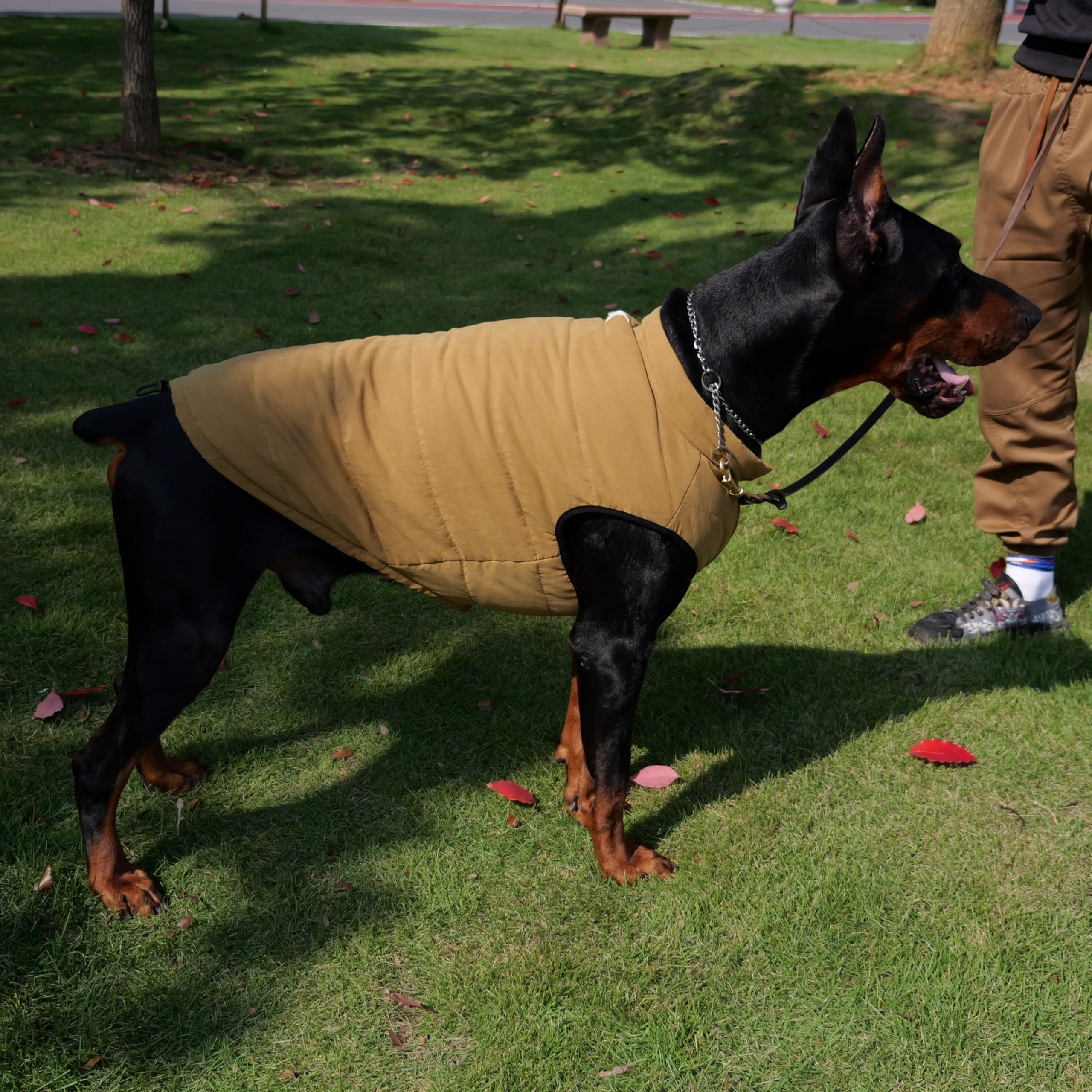 Lovelonglong dog coat worn during walk demonstrates versatile protection.