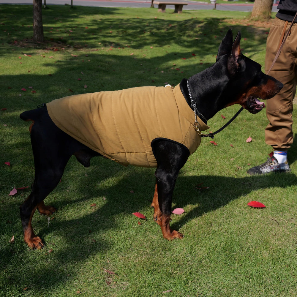Lovelonglong dog coat worn during walk demonstrates versatile protection.