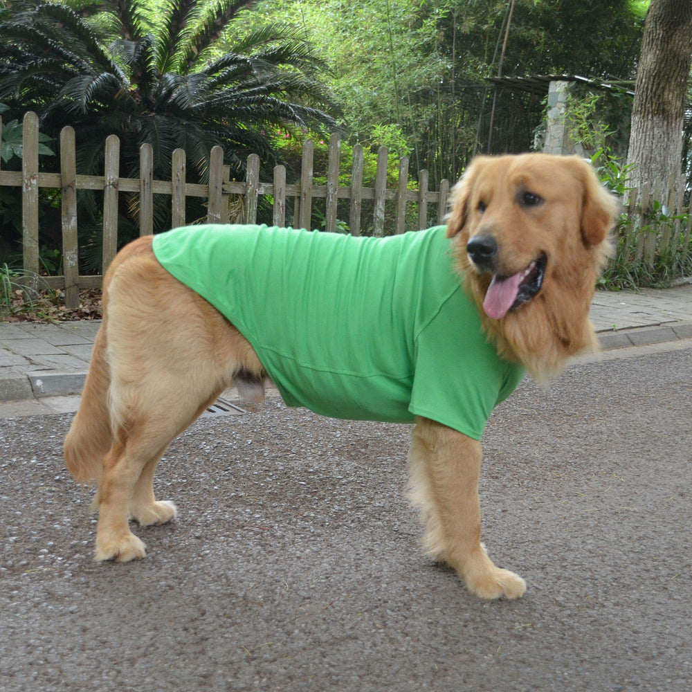 Lovelonglong-dog-tshirt-green-back close-up shows durable fabric and consistent color.