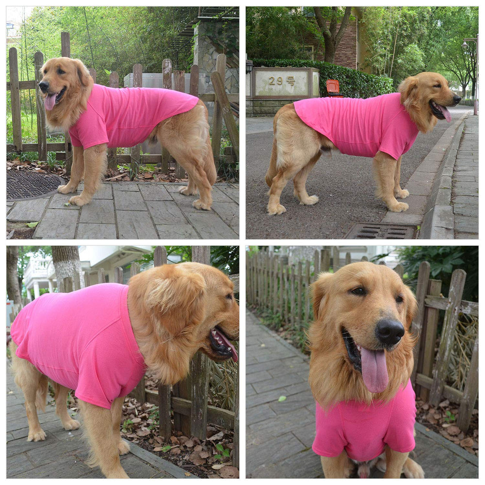 Lovelonglong dog-costume-blank-tshirt-rosered looks stylish on a medium dog