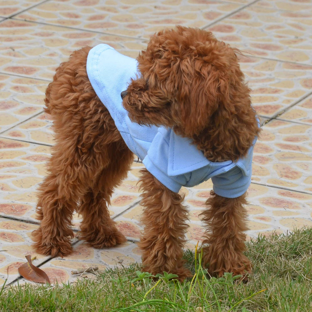 Lovelonglong Dog Polo care guide image illustrating easy washing and maintenance.