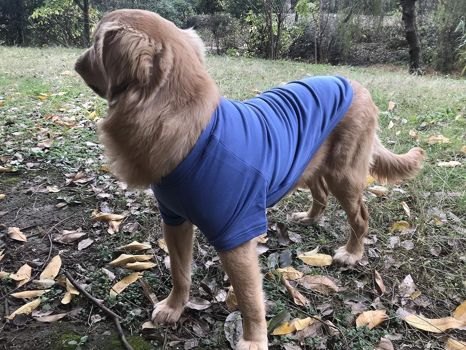Lovelonglong blue pullover dog clothing suitable for outdoor winter activities.
