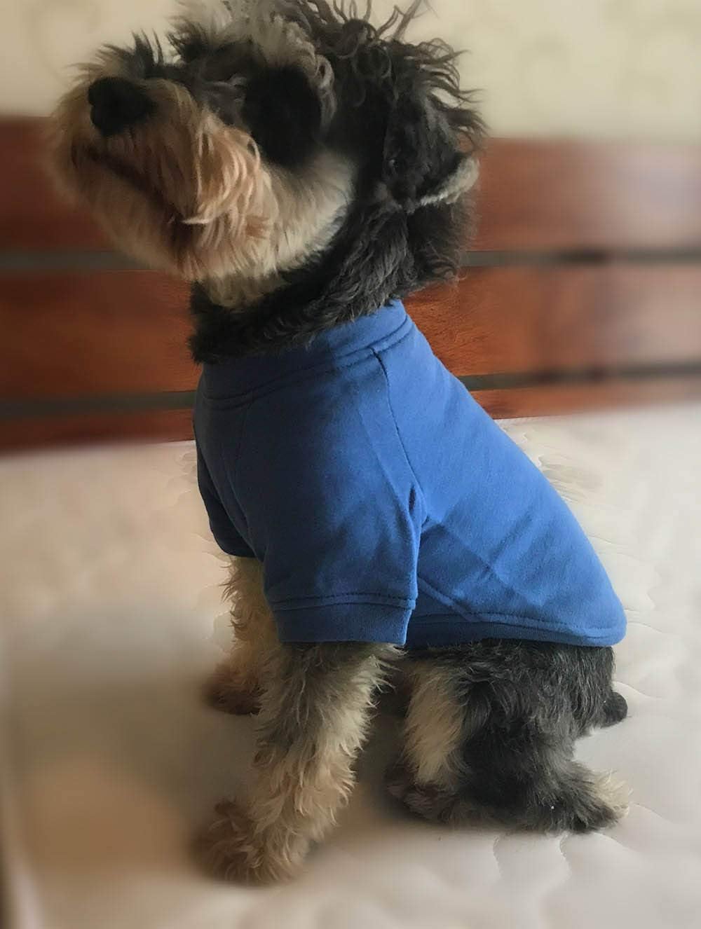 Lovelonglong blue pullover worn in car or park for daily warmth.