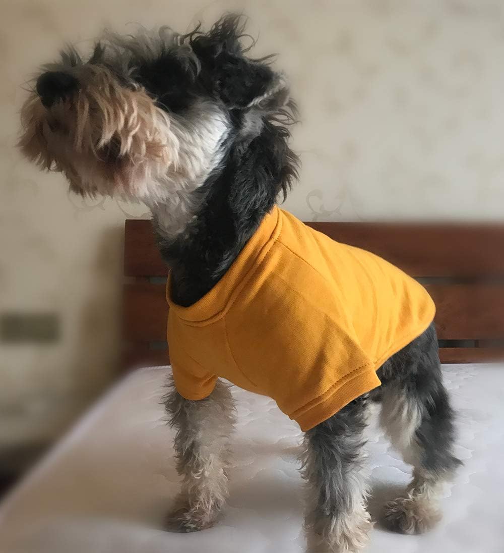 Lovelonglong dog pullover orange closeup fabric highlights soft premium cotton