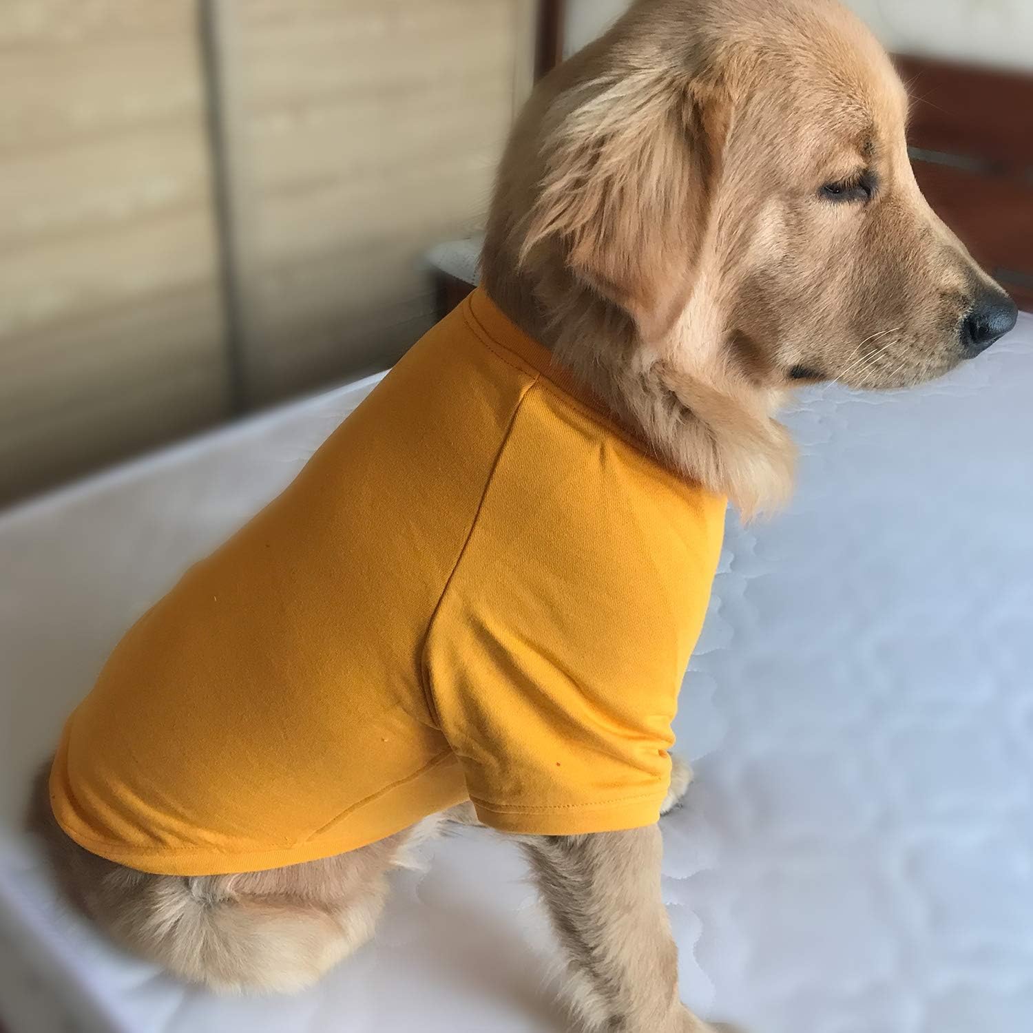 Lovelonglong dog pullover orange packaging image highlights gift-ready presentation