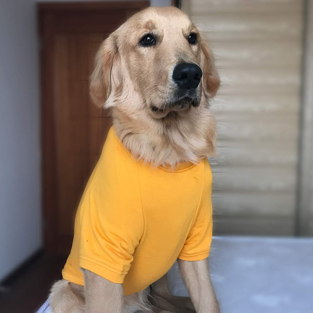 Lovelonglong dog pullover warm-wear ideal for golden retrievers in chilly weather.