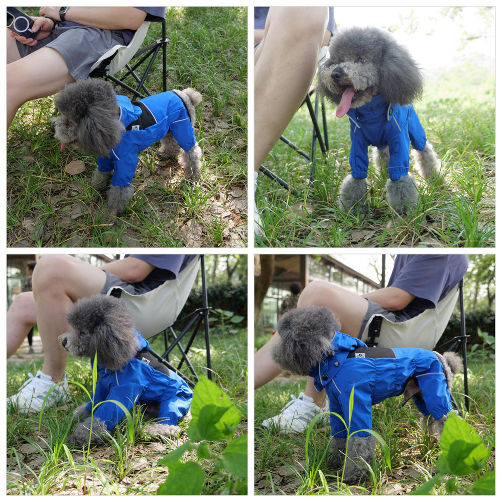 Lovelonglong raincoat worn during outdoor walks in wind and rain.