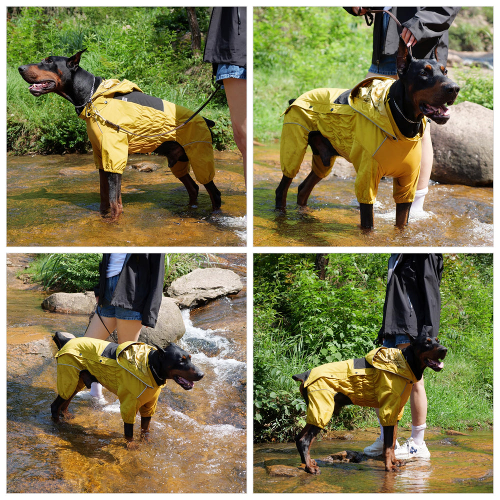 Lovelonglong raincoat provides four-leg coverage to shield fur and belly from snow.