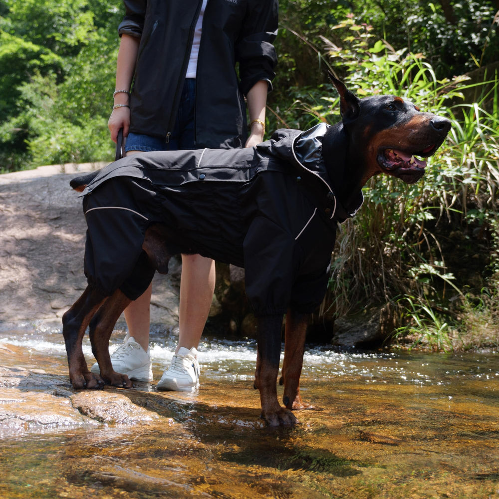 Lovelonglong dog raincoat hood removed for ventilation on milder days