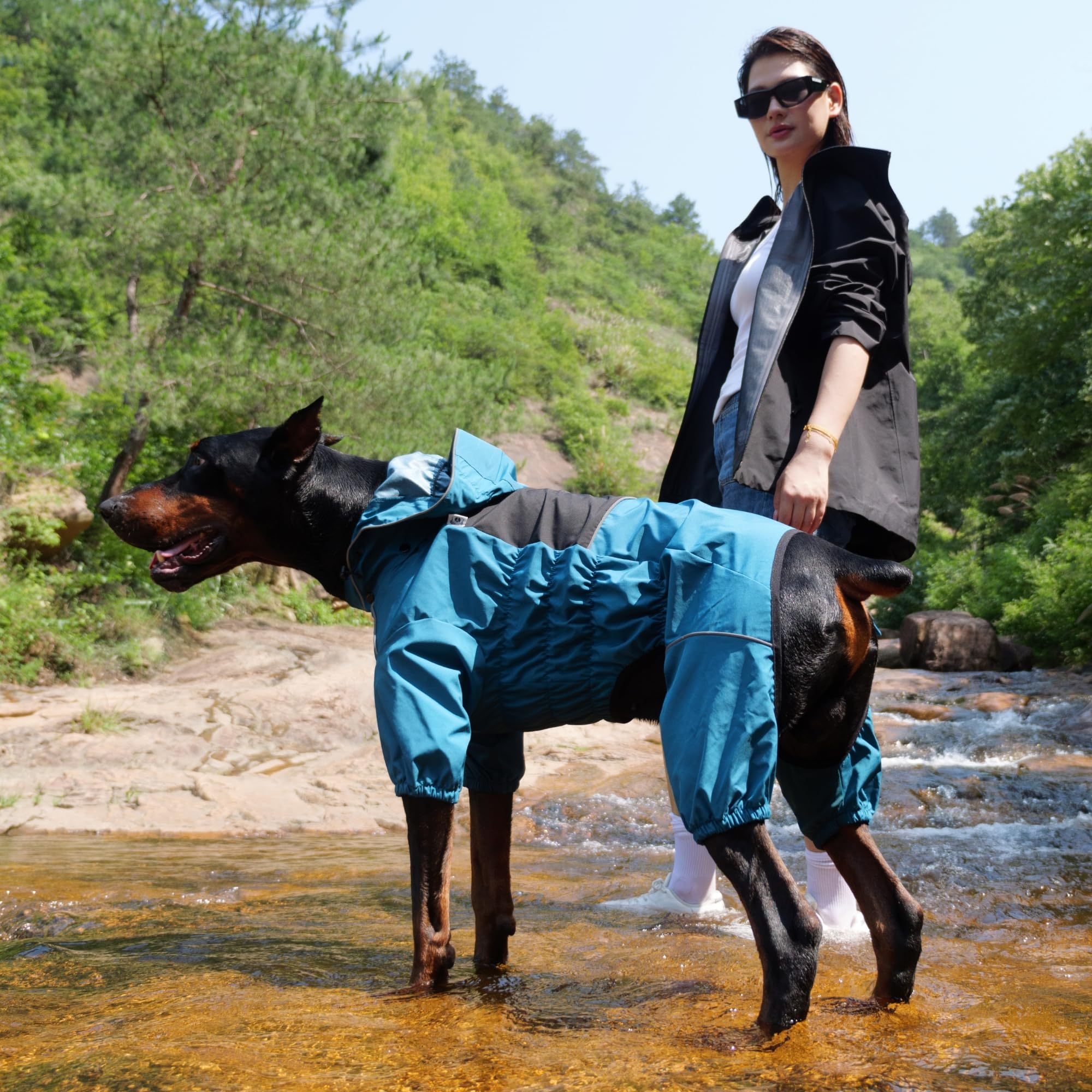 Lovelonglong dog raincoat in rain-walk scene emphasizing durable weather protection