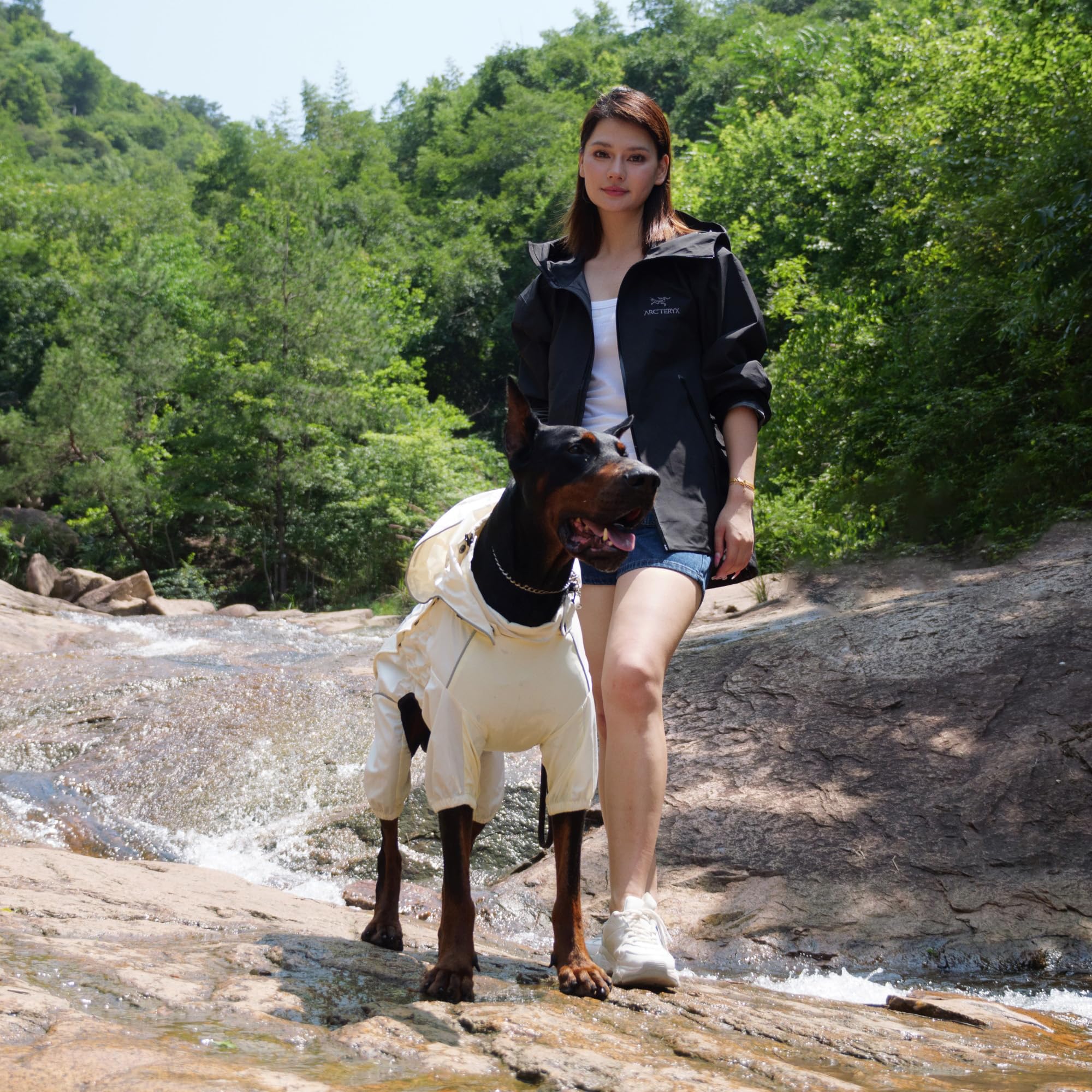 Lovelonglong ivory all-season dog rain gear shown in wet weather.