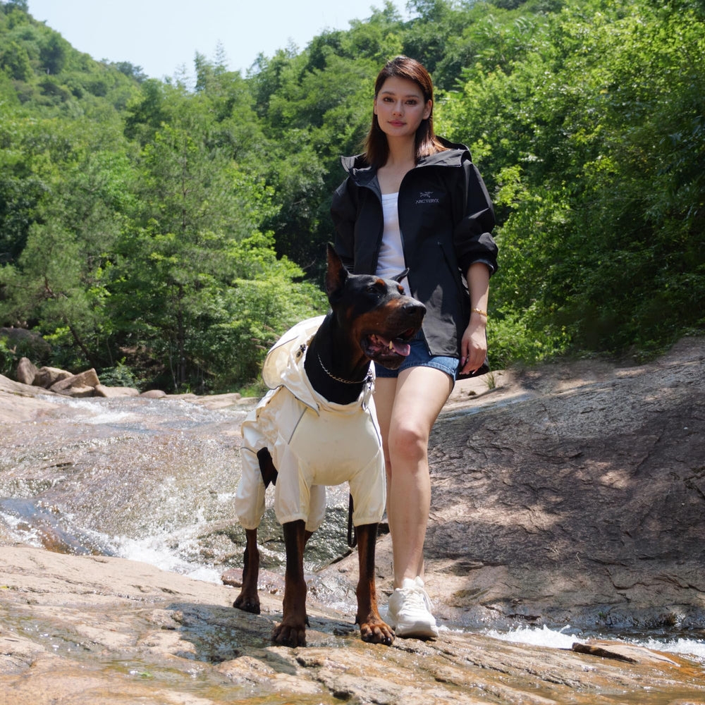 Lovelonglong ivory all-season dog rain gear shown in wet weather.