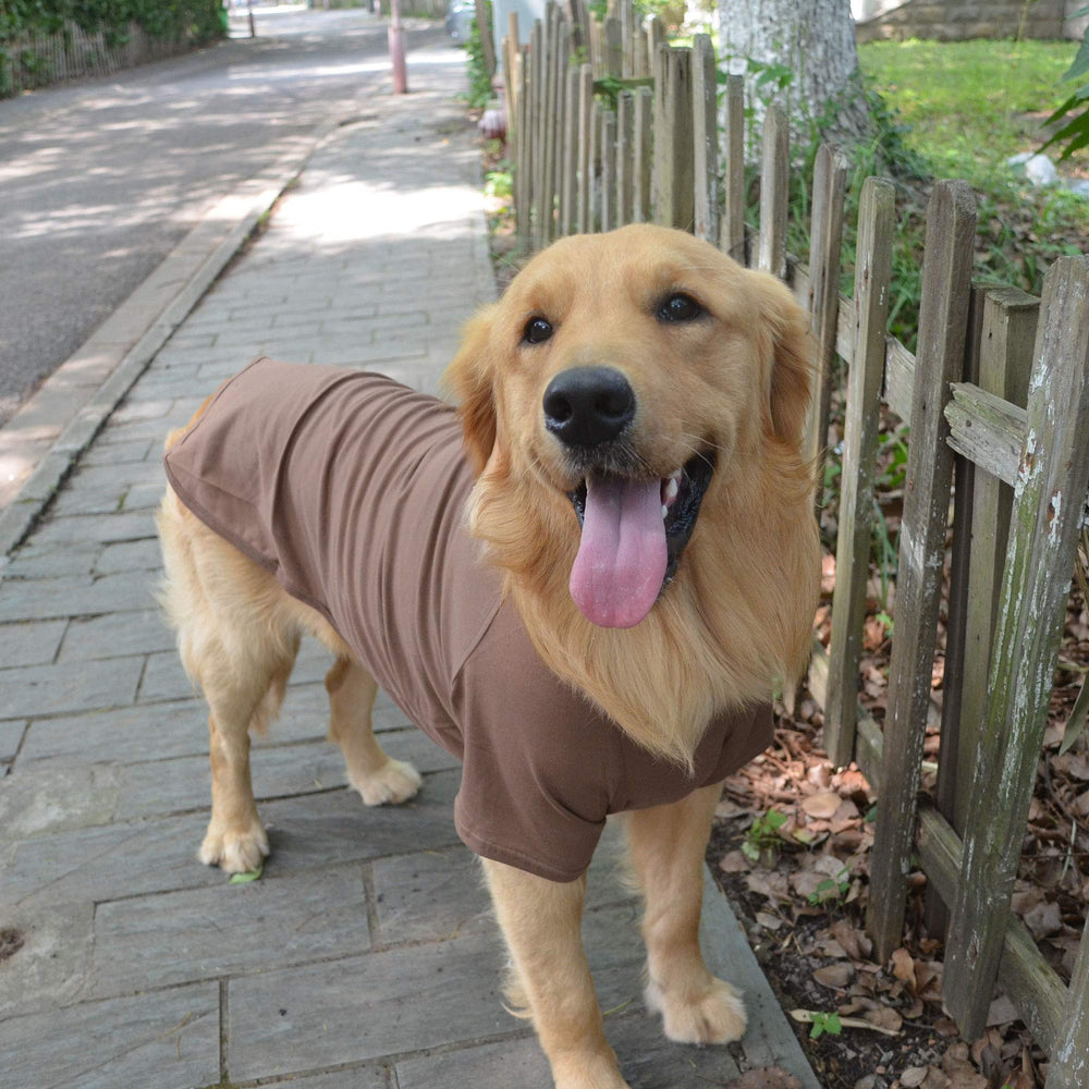 Lovelonglong dog T-shirt coffee XXL fit on model, medium-to-large breeds.