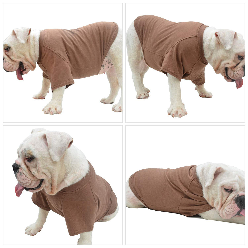 Lovelonglong dog T-shirt coffee XXL on-dog wear during adventures.