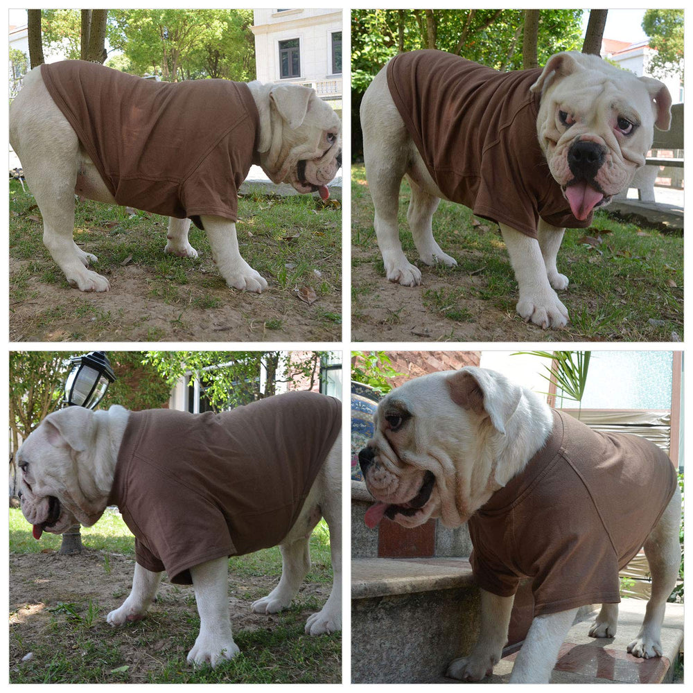 Lovelonglong dog T-shirt coffee XXL packaging, ready-to-gift presentation.