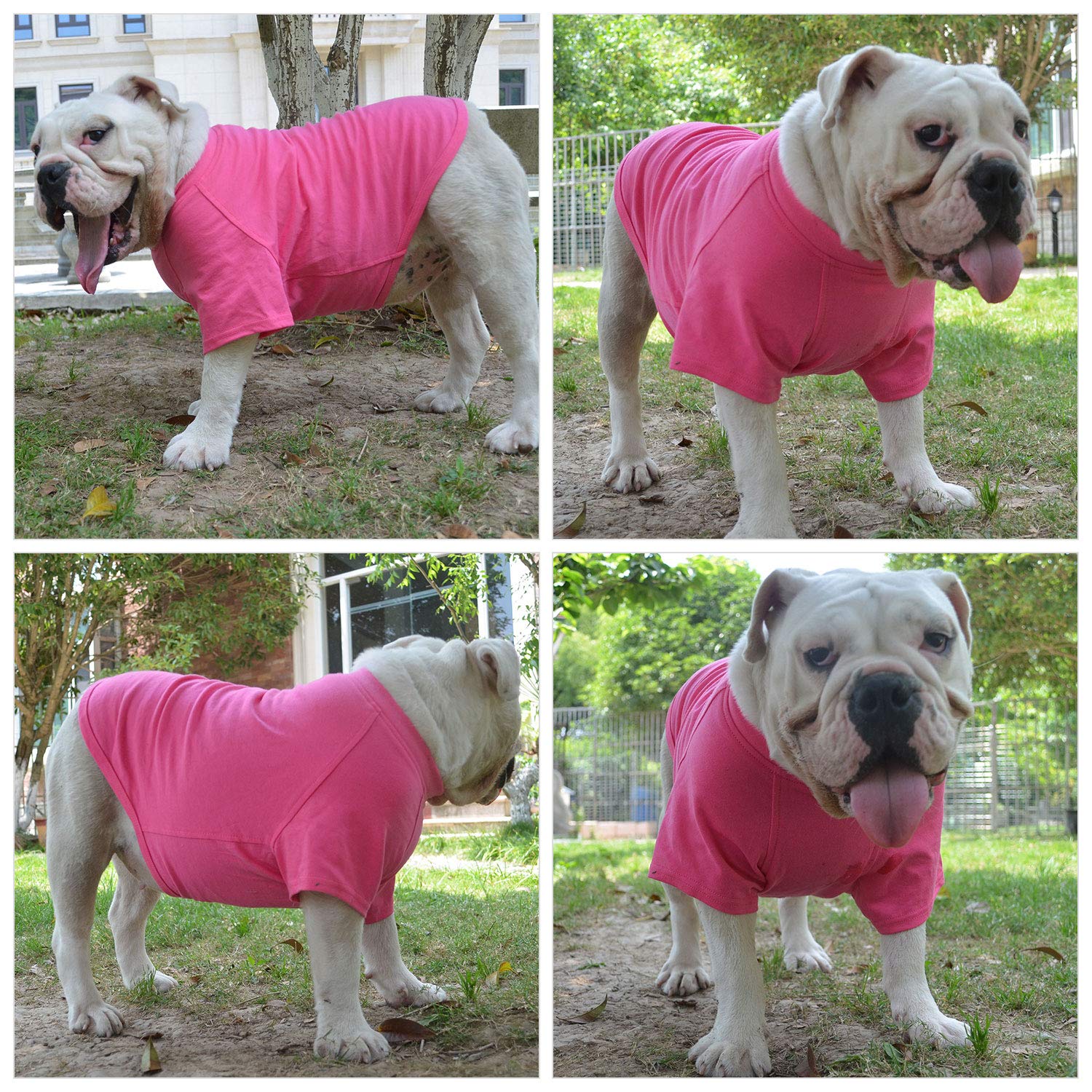 Lovelonglong dog-tshirt-machine-wash-friendly shown for easy laundry