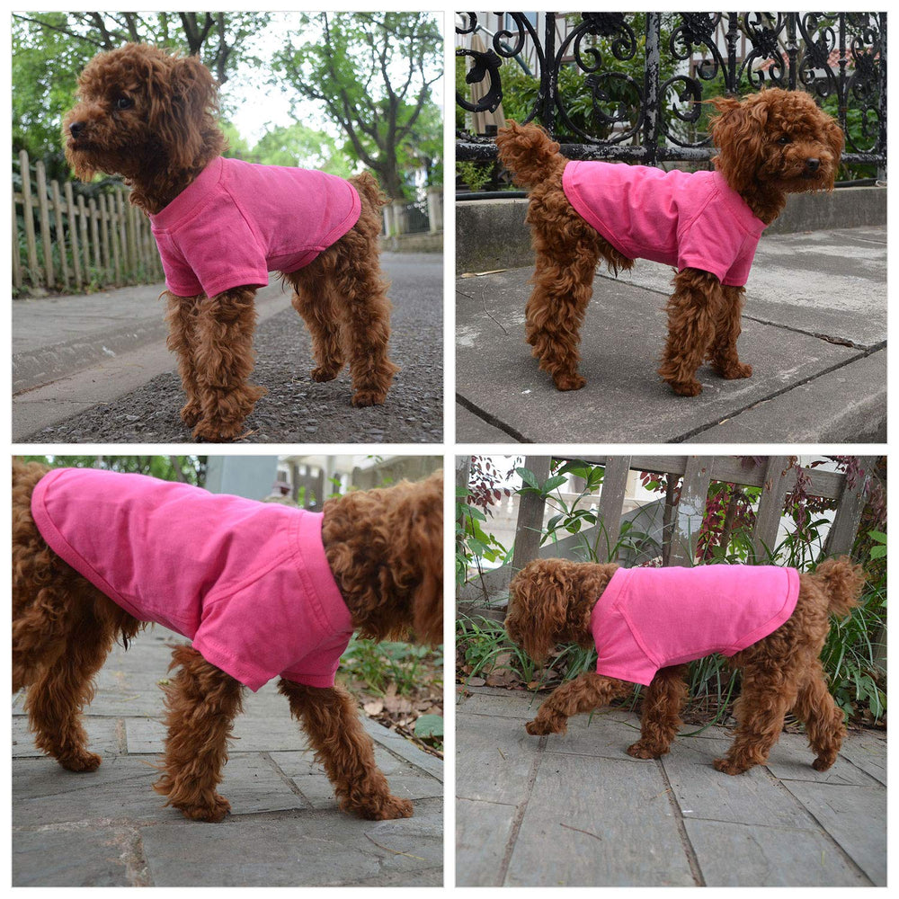 Lovelonglong dog-tshirt-warm-winter-coverage suggests cozy warmth in cold weather