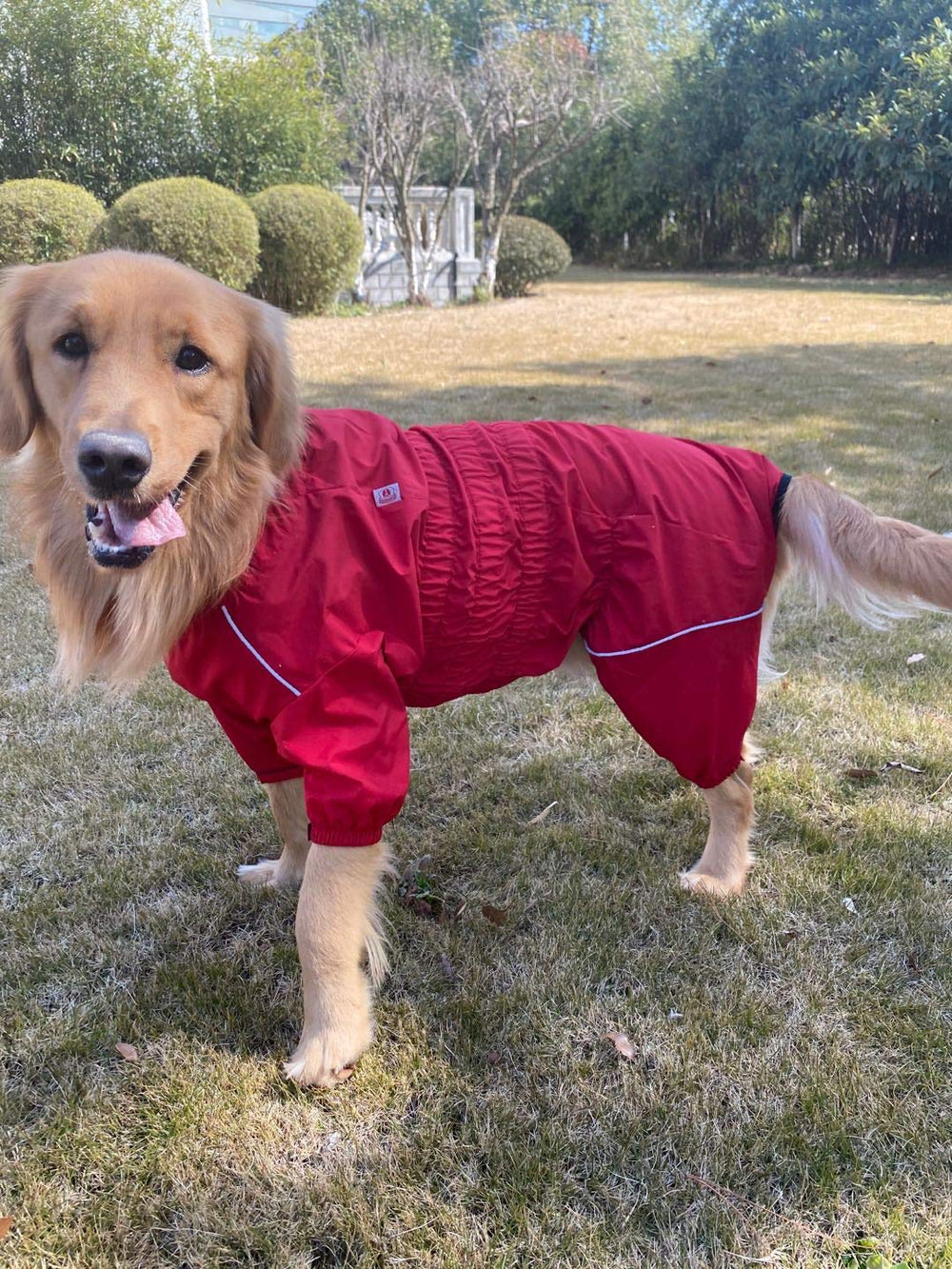 Lovelonglong dogs waterproof jacket adjustable fit for neck, chest, and waist.