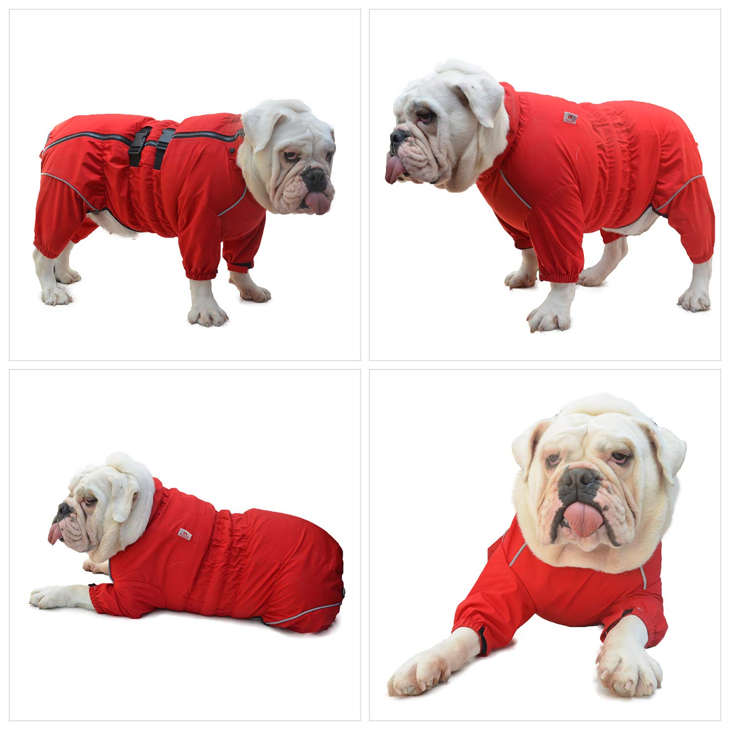 Lovelonglong dog waterproof jacket adjustable straps ensure a secure comfy fit