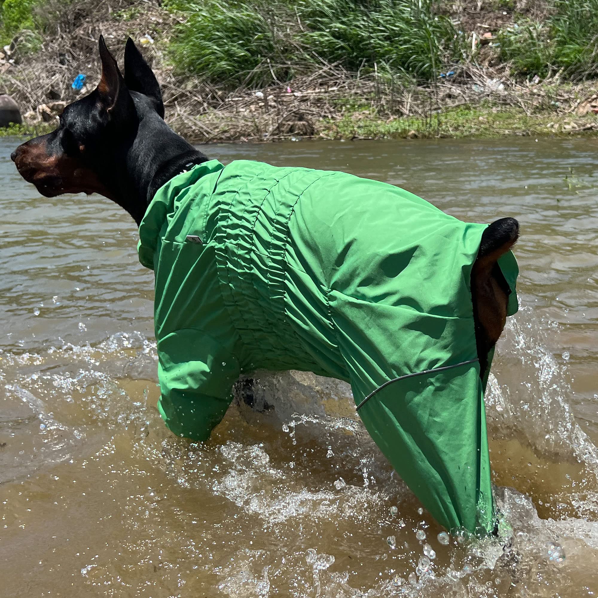 Lovelonglong dogs waterproof jacket worn on an outdoor walk in green for all-weather protection