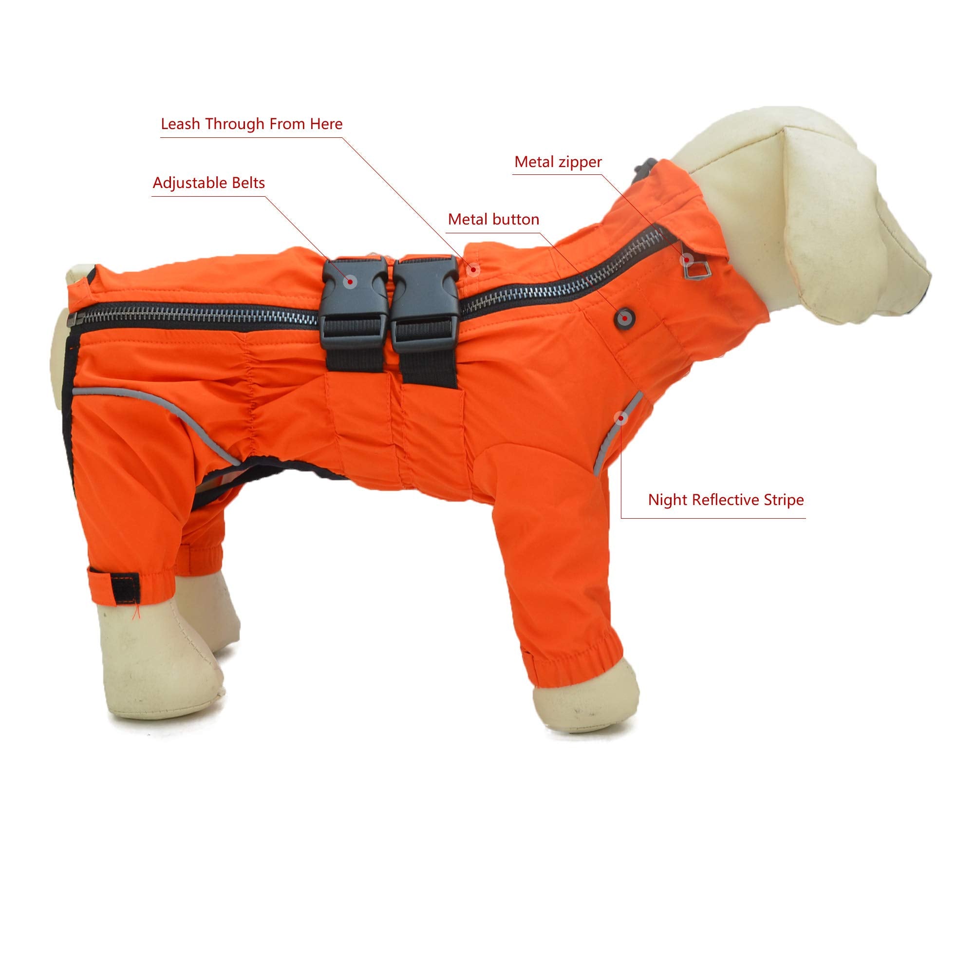 Lovelonglong dogs waterproof jacket on a dog at night with reflective strips for visibility.