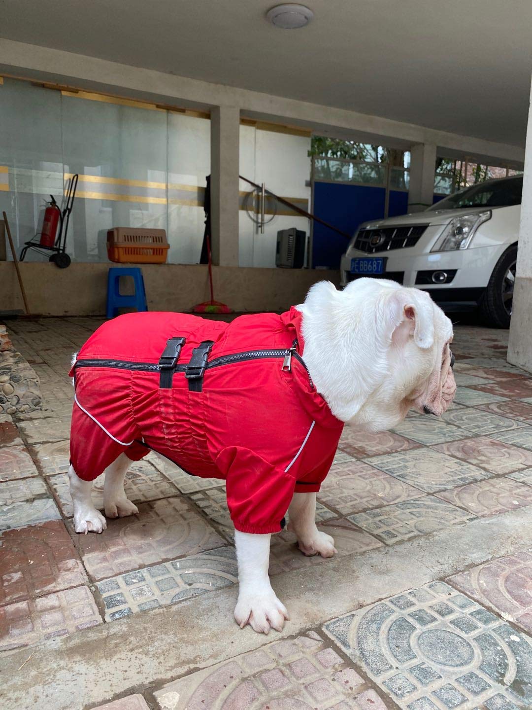 Lovelonglong dog waterproof jacket sbs zipper for easy on off