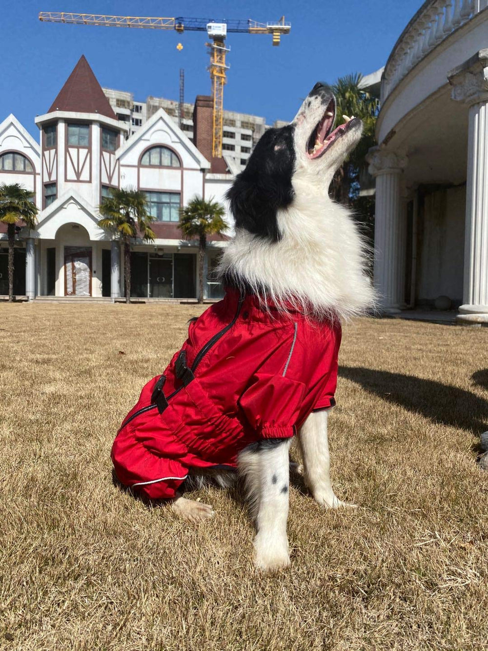 Lovelonglong dogs waterproof jacket size chart highlights versatile options.