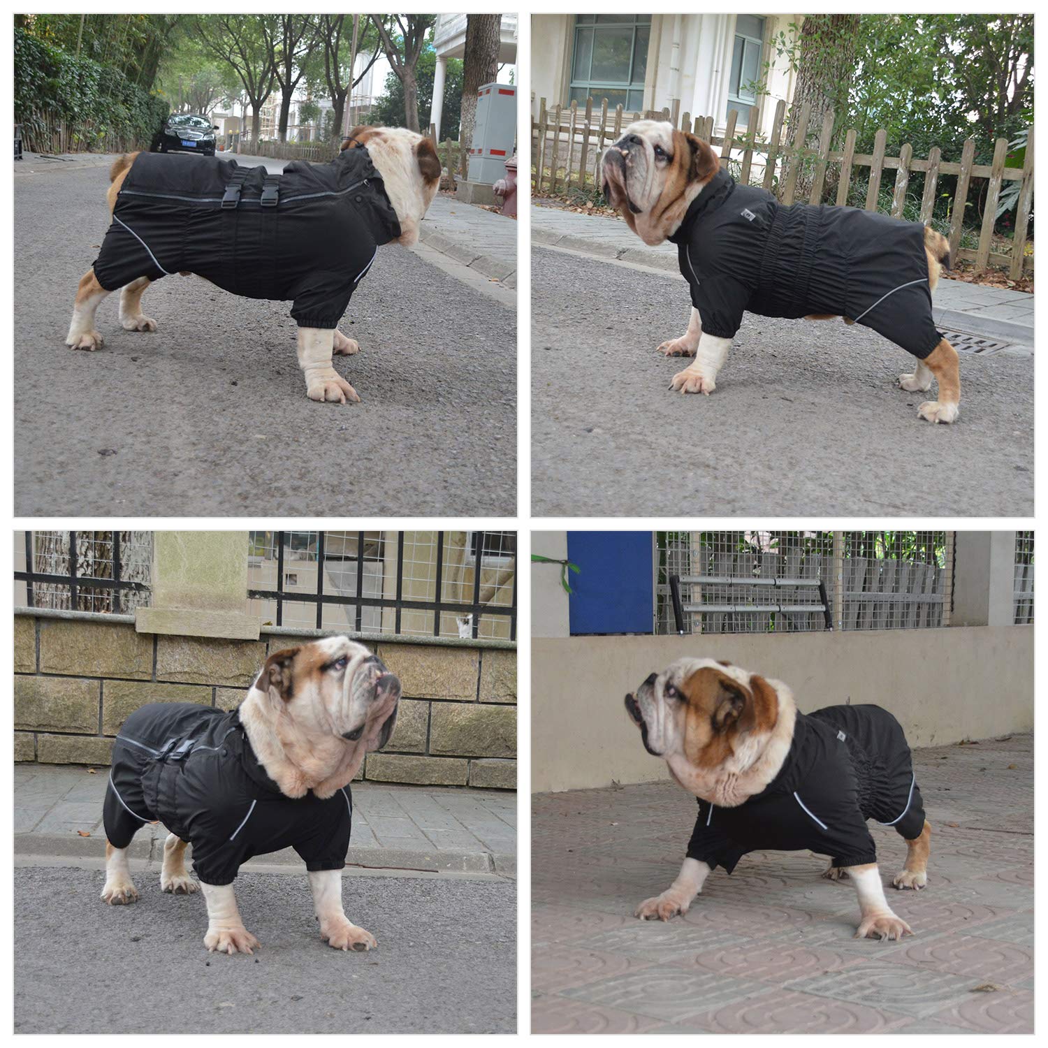 Lovelonglong dogs waterproof jacket size chart highlighting 15 sizes