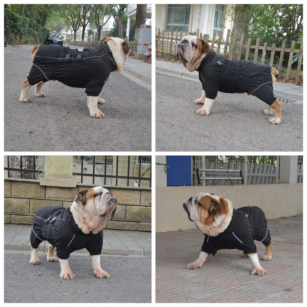 Lovelonglong dogs waterproof jacket size chart highlighting 15 sizes