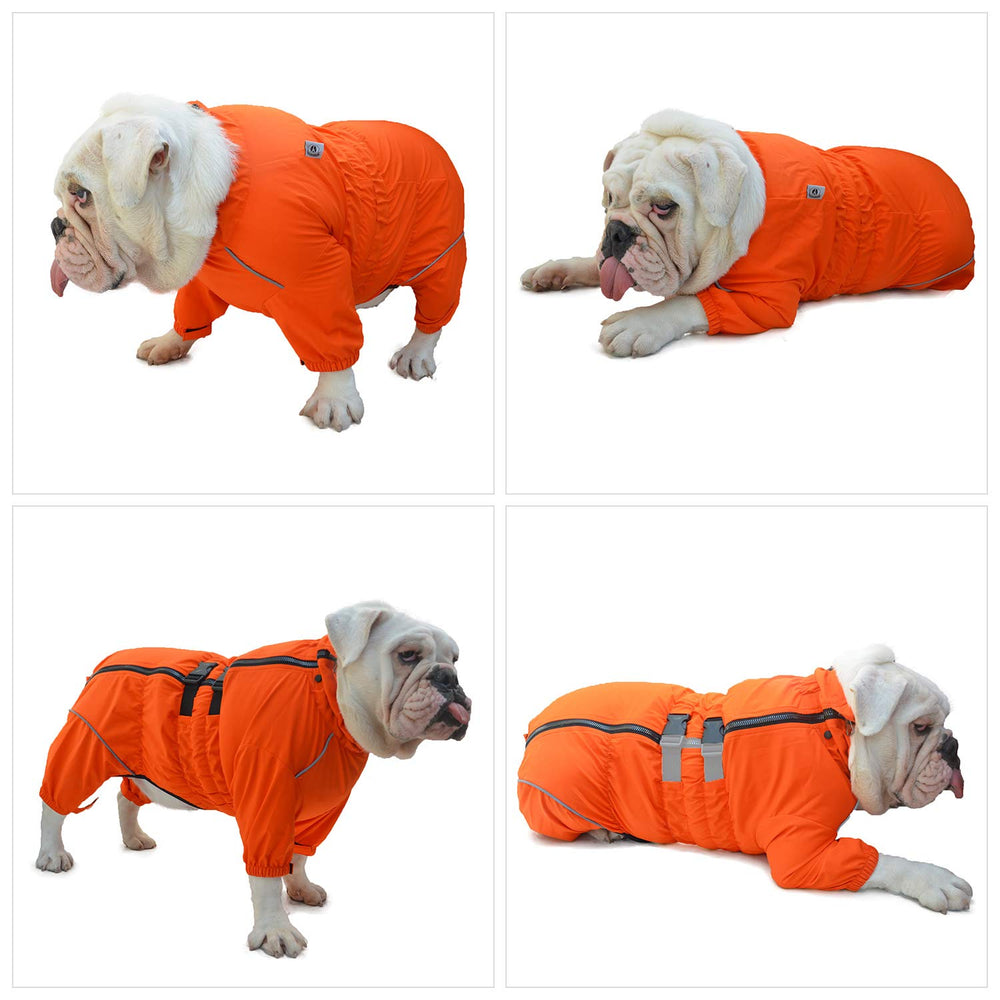 Lovelonglong dogs waterproof jacket demonstrates windproof and snow defense in harsh weather.