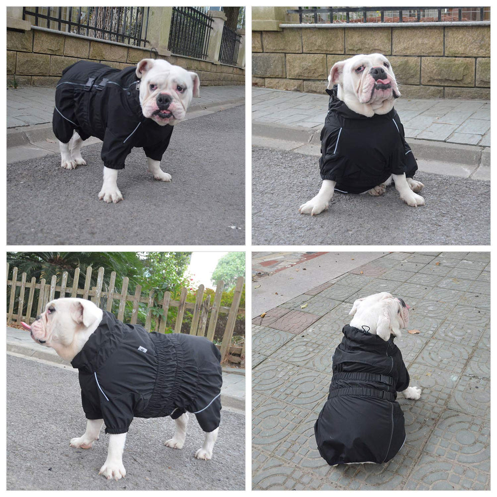Lovelonglong dogs waterproof jacket in winter scenario, light weight warmth
