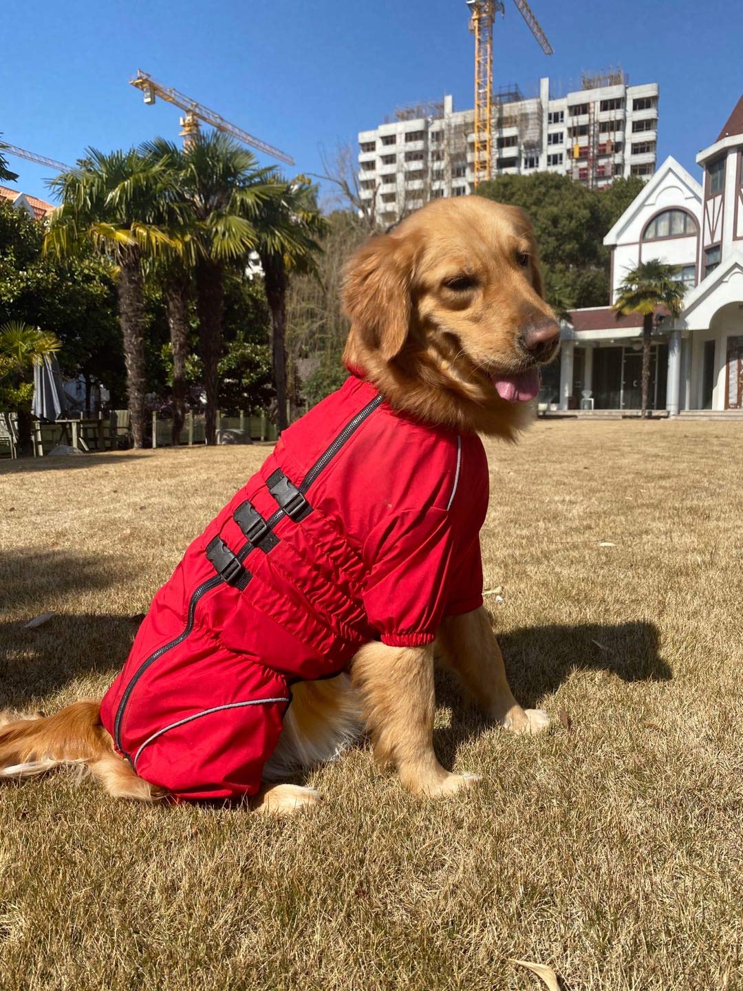 Lovelonglong dogs waterproof jacket designed for winter rain and light snow.