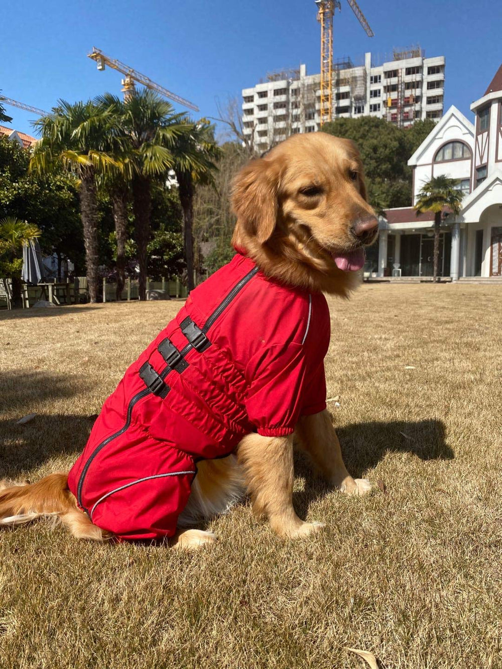 Lovelonglong dogs waterproof jacket designed for winter rain and light snow.