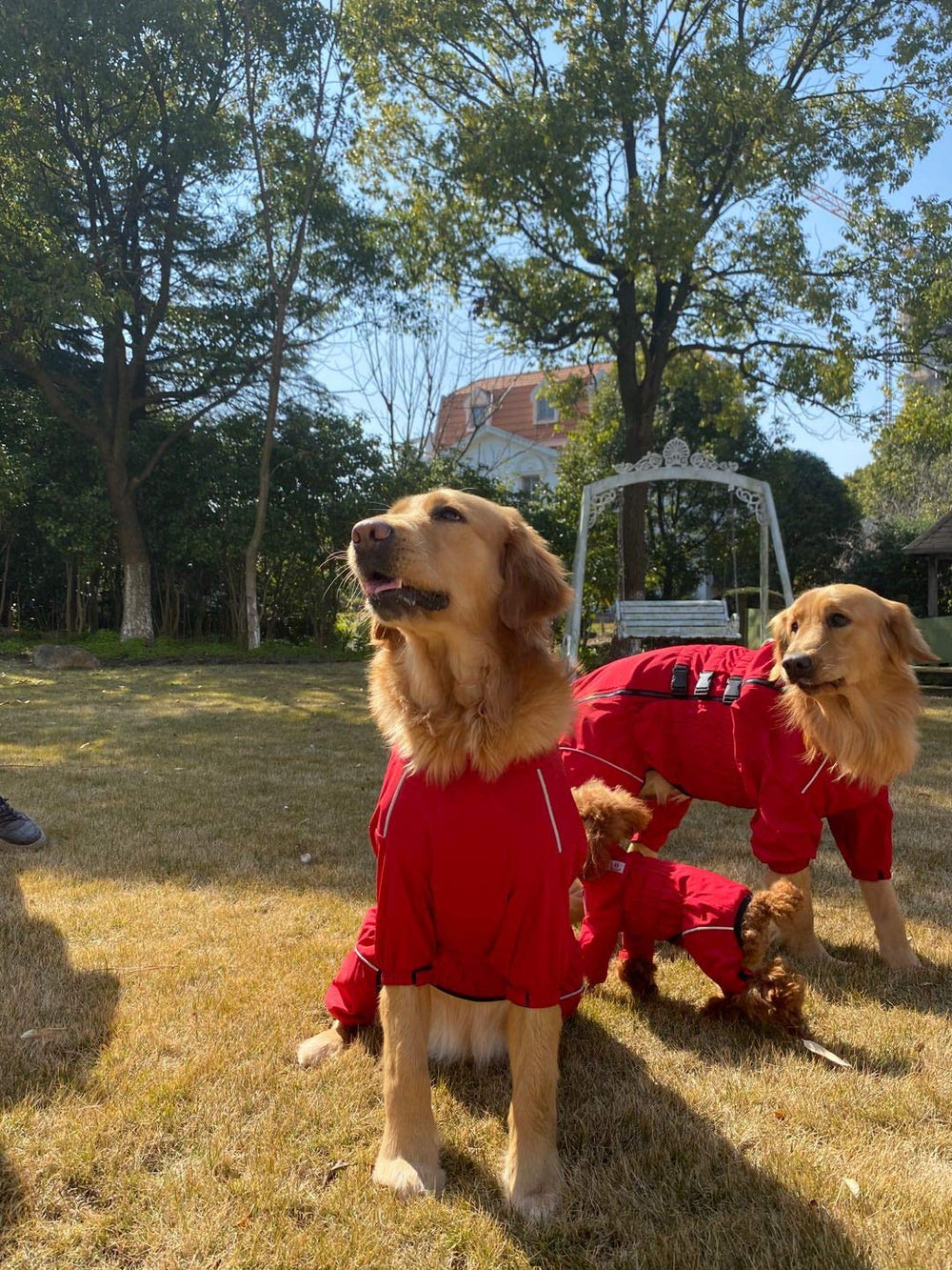 Lovelonglong dogs waterproof jacket SBS zipper ensures smooth on/off.