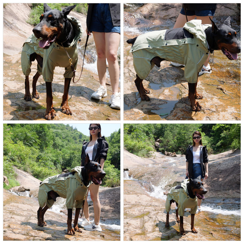 Lovelonglong elastic chest panel ensures a secure fit for active dogs.