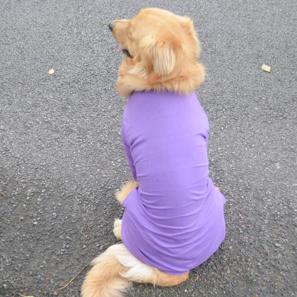 Lovelonglong four feet dog pajamas 4-legs design, full coverage for active dogs.