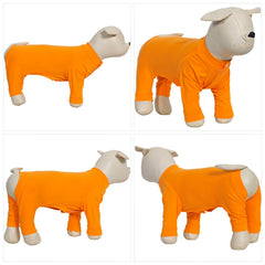 Lovelonglong Four Feet Dog Pajamas outdoor-use image shows versatile wear for outdoor adventures.