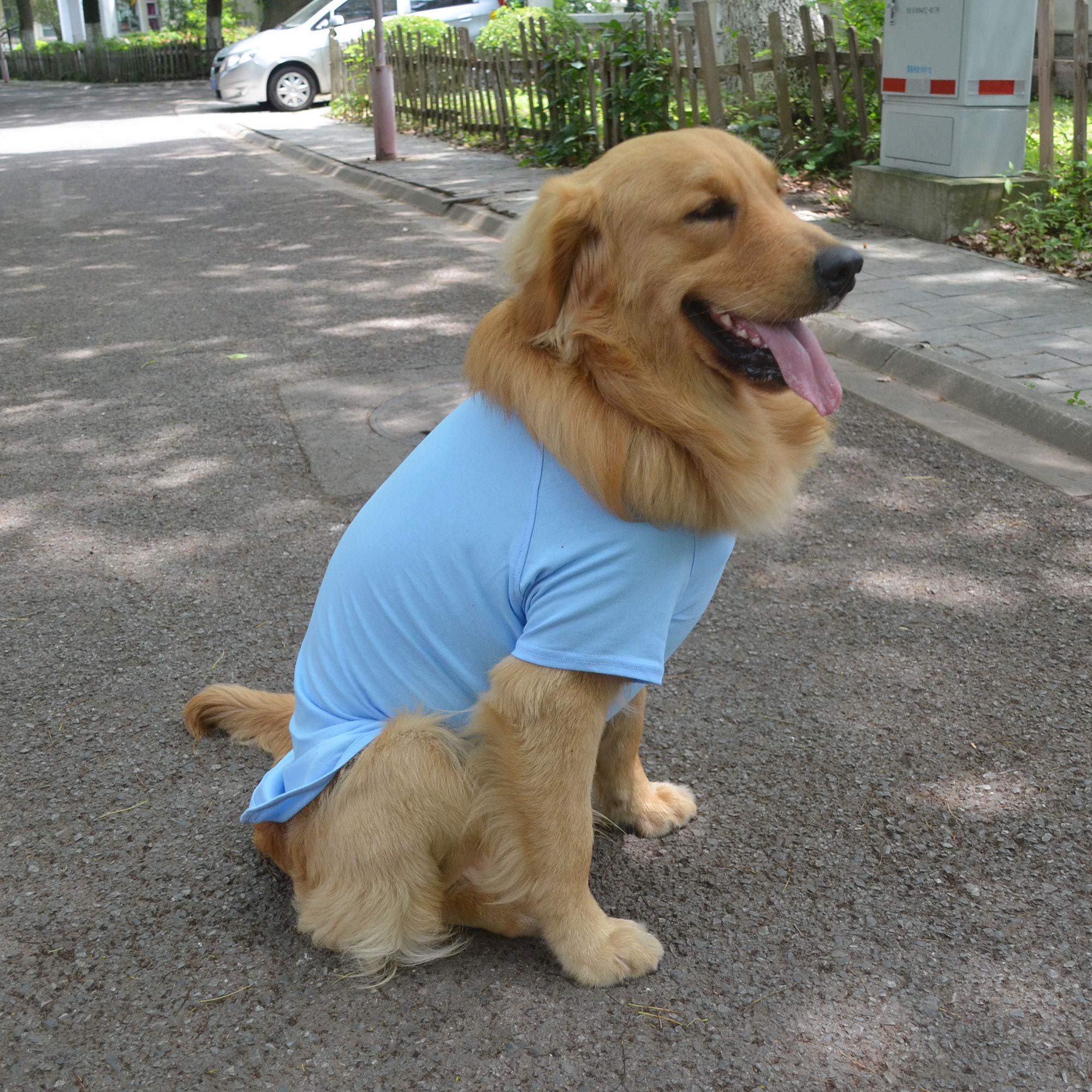 Lovelonglong tee paired with leash demonstrates daily wear versatility.