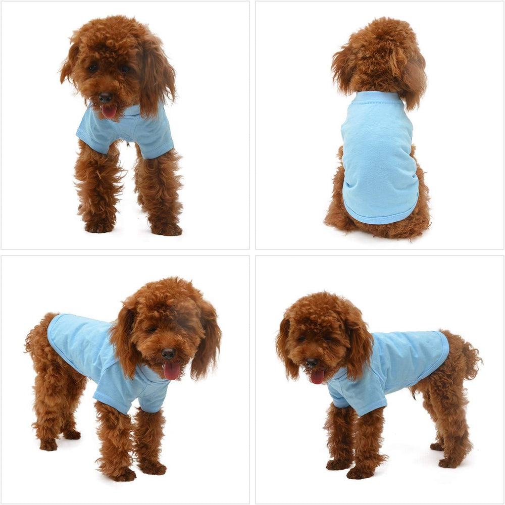 Lovelonglong light-blue tee image shows color variety for easy styling.