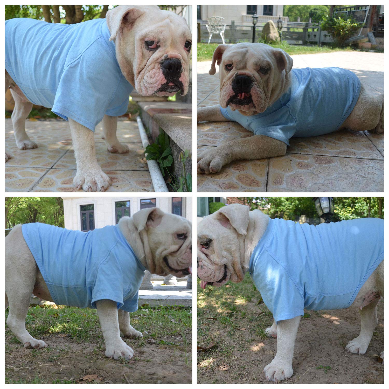 Lovelonglong t-shirt stitching close-up emphasizes durability during playful sessions.