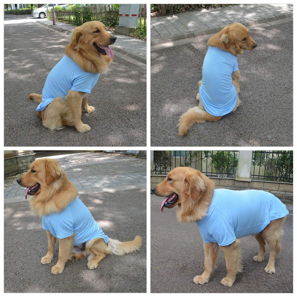 Lovelonglong dog tee worn in winter scene suggests warmth for chilly days.