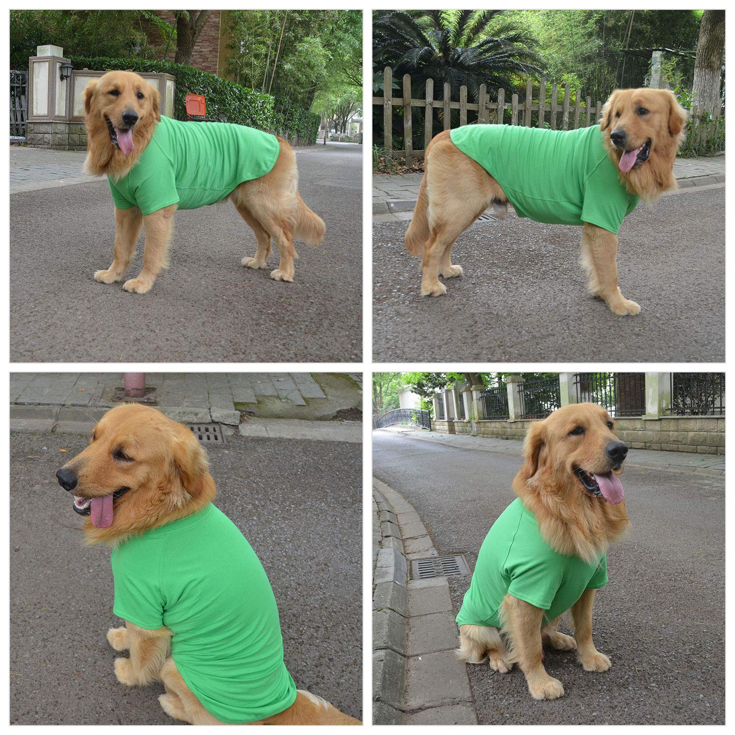 Lovelonglong-pet-clothing-green-tshirt-wearing shows comfortable fit during daily walks.