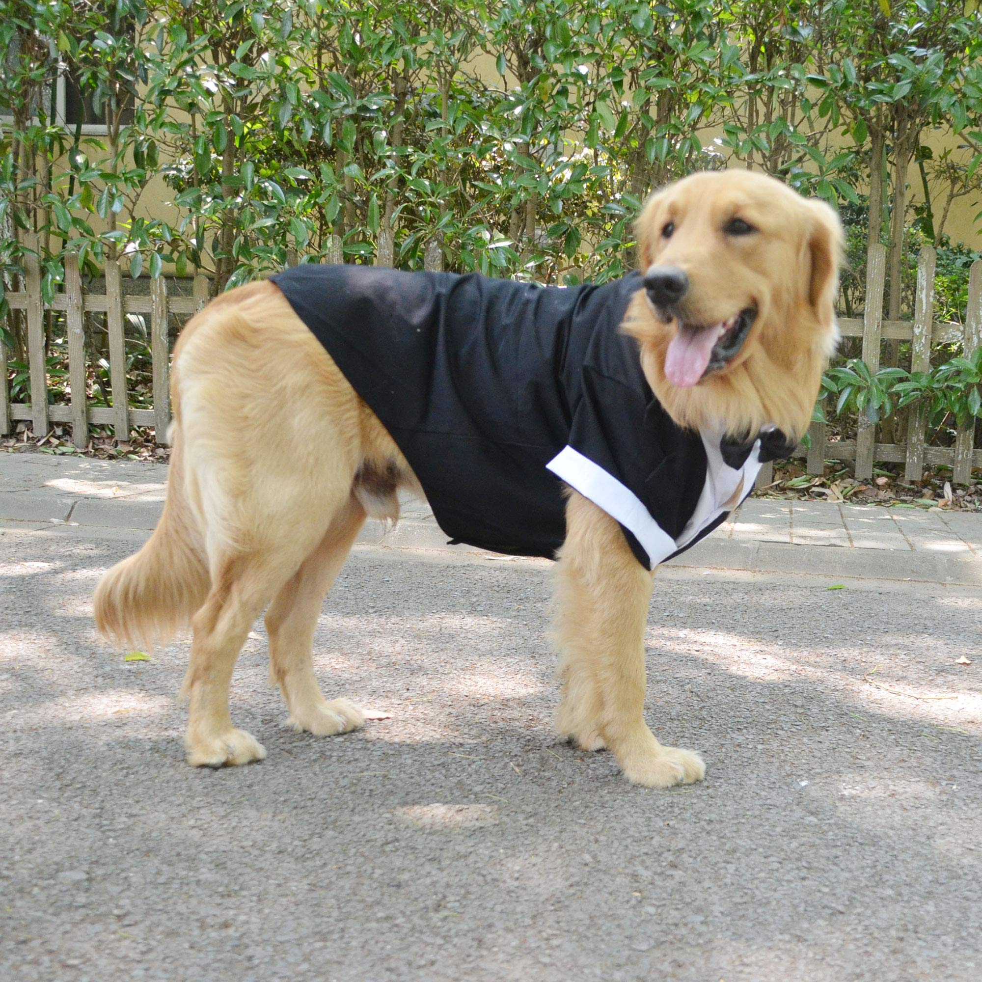 Lovelonglong model wearing tuxedo during walk for polished look