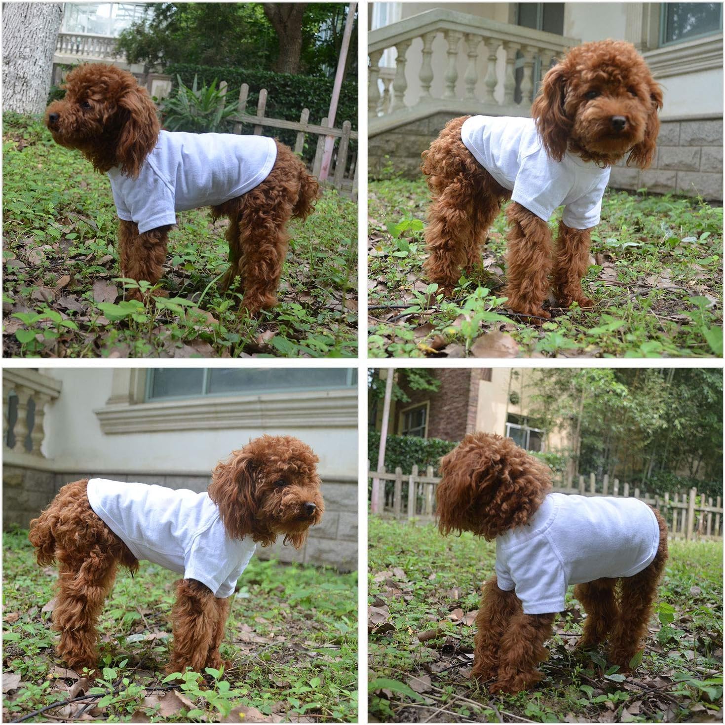 Lovelonglong pet shirt color options display vibrant hues.