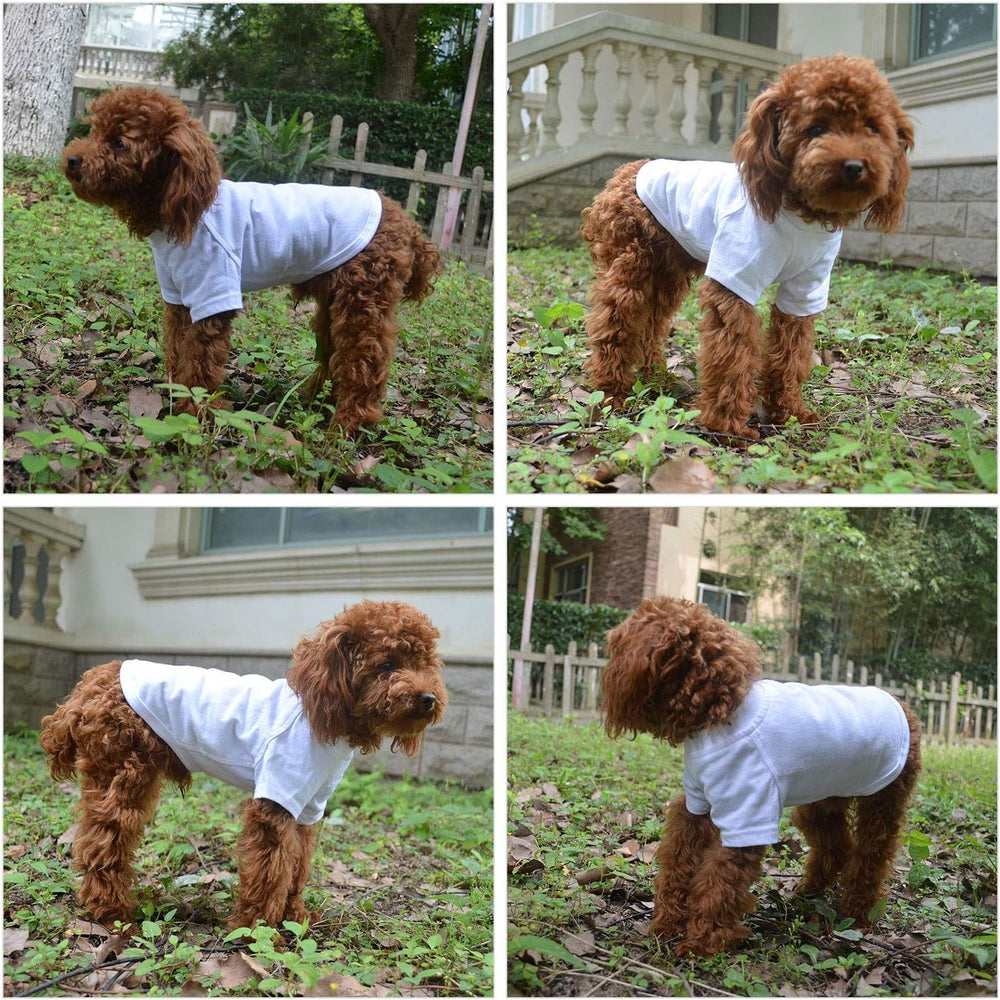 Lovelonglong pet shirt color options display vibrant hues.