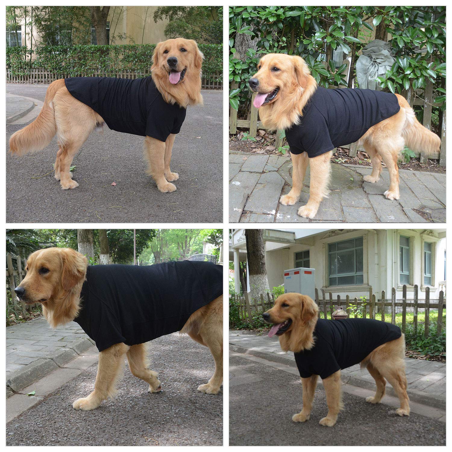 Lovelonglong pet t-shirt color variants display featuring 18 colors for style.